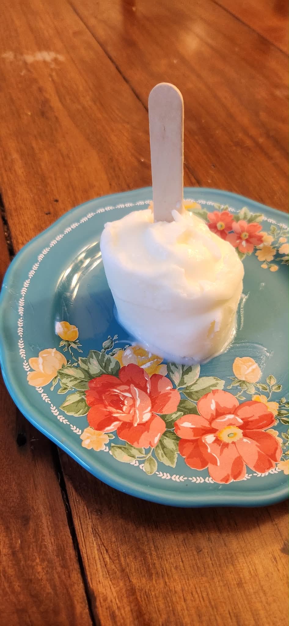 Frozen Yogurt or Juice Pops